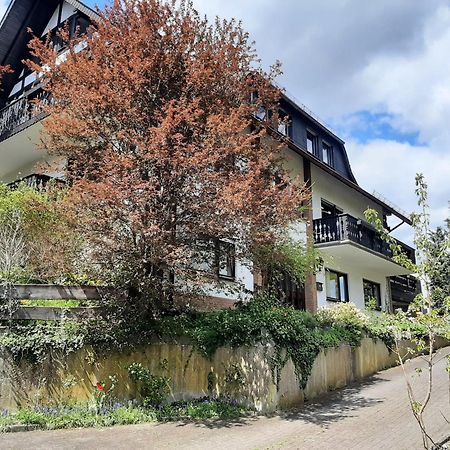 Ferienwohnung Bergblick Hallenberg Εξωτερικό φωτογραφία