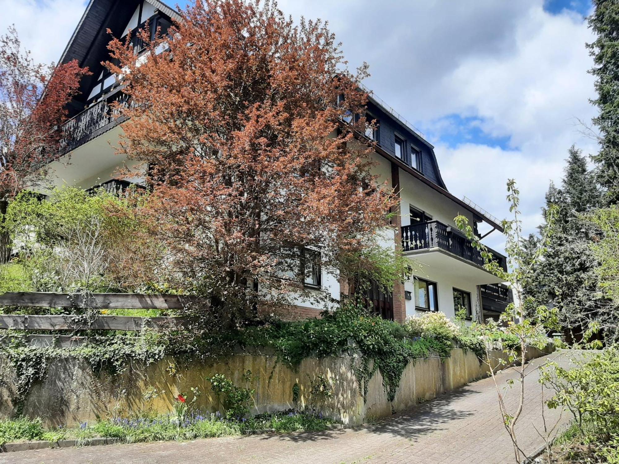 Ferienwohnung Bergblick Hallenberg Εξωτερικό φωτογραφία